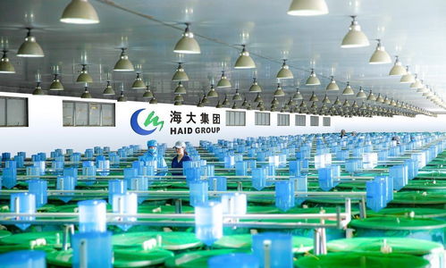 农行广东分行助力种业振兴 激活芯动能 延伸金融服务至汽车装饰用品销售