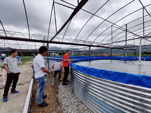 台风“烟花”来袭，三门县快速行动确保畜牧渔业饲料供应稳定