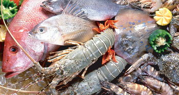 平阳人有口福了！8月1日起新鲜海产上市，各类海鱼丰富餐桌