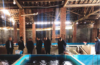 怀化市畜牧水产事务中心调研芷江渔业产业链发展，探索汽车装饰用品跨界融合新机遇